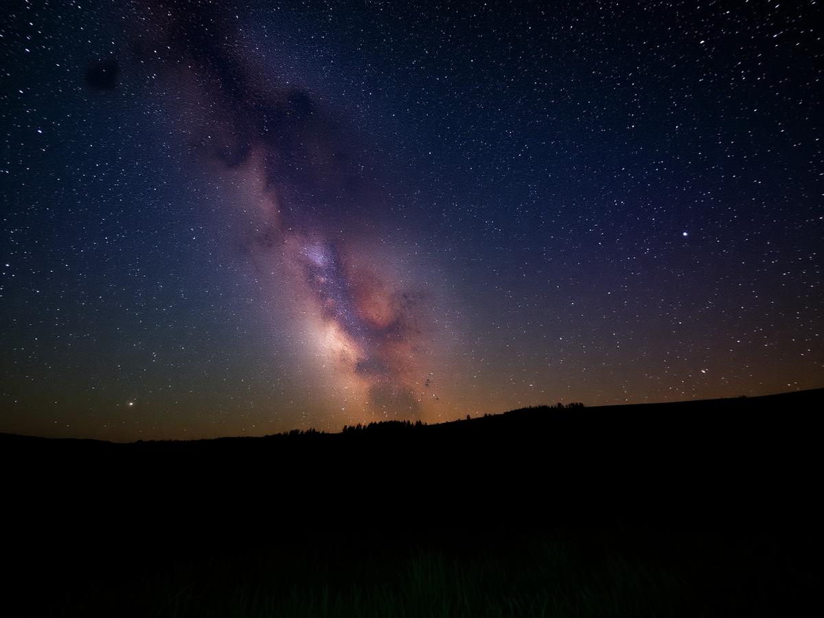 Milky Way rising above the treeline